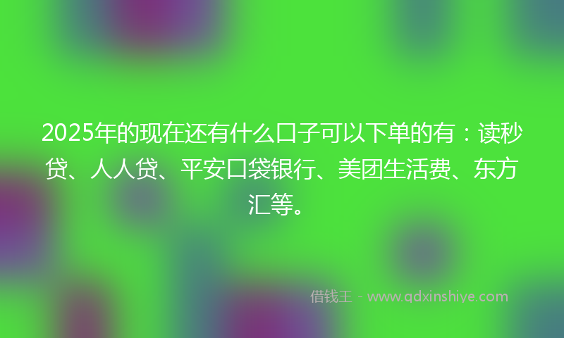 2025年的现在还有什么口子可以下单的有：读秒贷、人人贷、平安口袋银行、美团生活费、东方汇等。