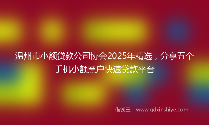 温州市小额贷款公司协会2025年精选，分享五个手机小额黑户快速贷款平台