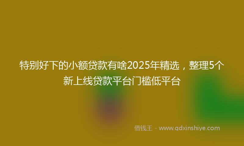 特别好下的小额贷款有啥2025年精选，整理5个新上线贷款平台门槛低平台