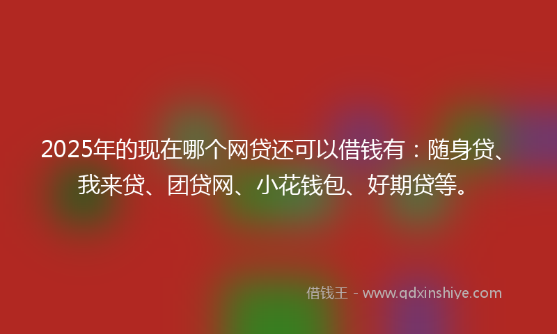 2025年的现在哪个网贷还可以借钱有：随身贷、我来贷、团贷网、小花钱包、好期贷等。