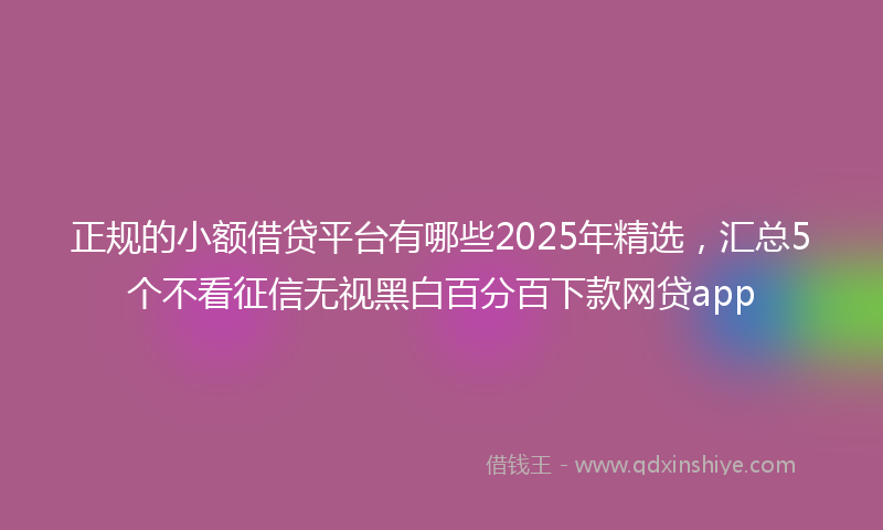 正规的小额借贷平台有哪些2025年精选，汇总5个不看征信无视黑白百分百下款网贷app