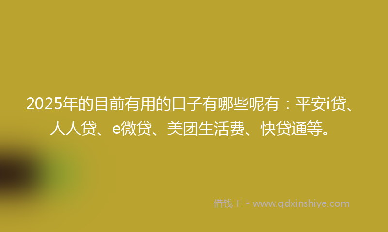 2025年的目前有用的口子有哪些呢有：平安i贷、人人贷、e微贷、美团生活费、快贷通等。