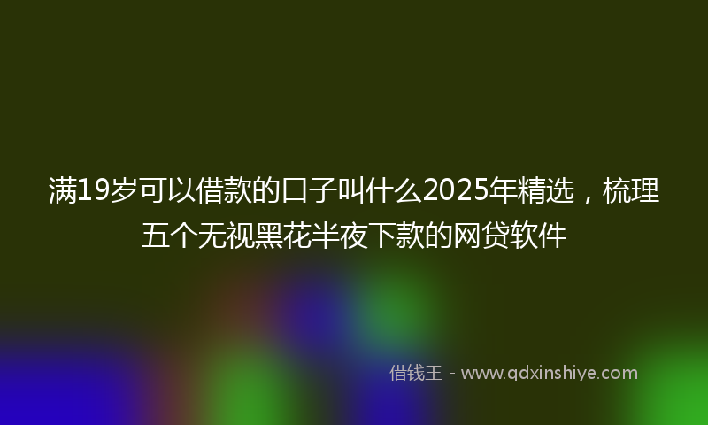 满19岁可以借款的口子叫什么2025年精选，梳理五个无视黑花半夜下款的网贷软件