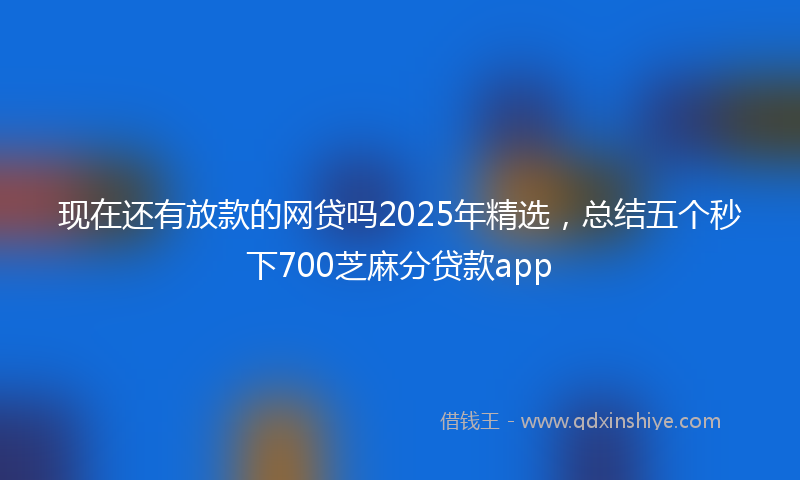 现在还有放款的网贷吗2025年精选，总结五个秒下700芝麻分贷款app