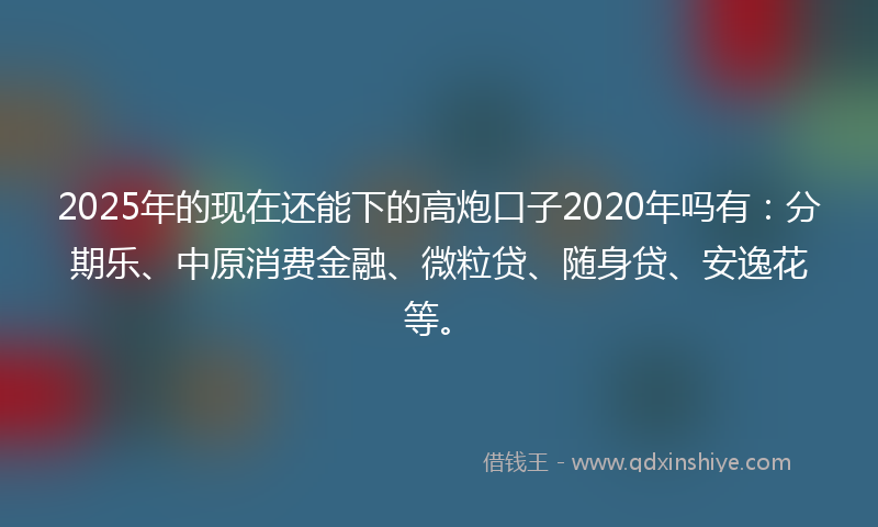 2025年的现在还能下的高炮口子2020年吗有：分期乐、中原消费金融、微粒贷、随身贷、安逸花等。