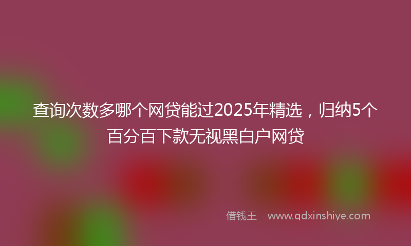 查询次数多哪个网贷能过2025年精选，归纳5个百分百下款无视黑白户网贷