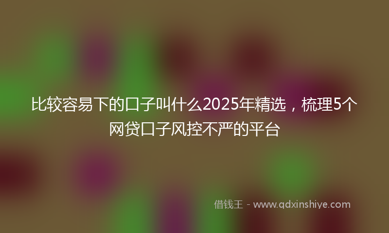 比较容易下的口子叫什么2025年精选，梳理5个网贷口子风控不严的平台