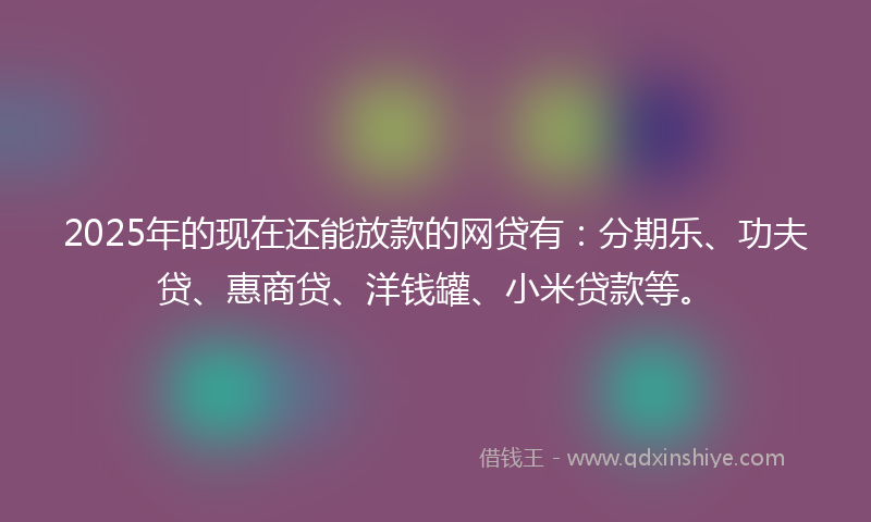 2025年的现在还能放款的网贷有：分期乐、功夫贷、惠商贷、洋钱罐、小米贷款等。