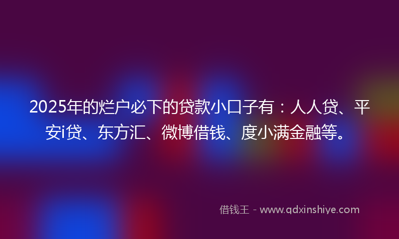 2025年的烂户必下的贷款小口子有：人人贷、平安i贷、东方汇、微博借钱、度小满金融等。