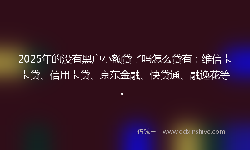2025年的没有黑户小额贷了吗怎么贷有：维信卡卡贷、信用卡贷、京东金融、快贷通、融逸花等。