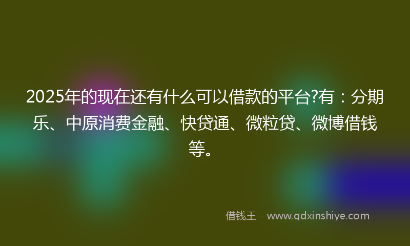 2025年的现在还有什么可以借款的平台?有：分期乐、中原消费金融、快贷通、微粒贷、微博借钱等。