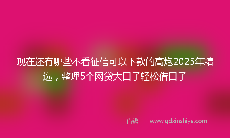 现在还有哪些不看征信可以下款的高炮2025年精选,整理5个网贷大口子轻松借口子