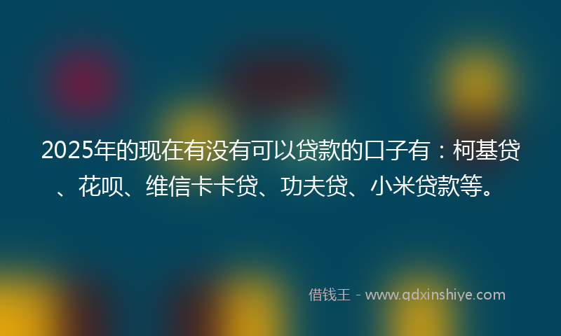 2025年的现在有没有可以贷款的口子有：柯基贷、花呗、维信卡卡贷、功夫贷、小米贷款等。