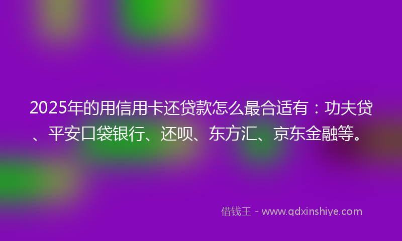 2025年的用信用卡还贷款怎么最合适有：功夫贷、平安口袋银行、还呗、东方汇、京东金融等。