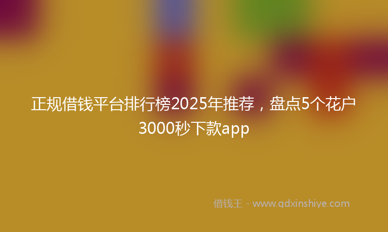 正规借钱平台排行榜2025年推荐，盘点5个花户3000秒下款app