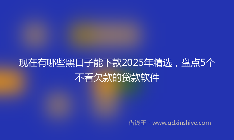 现在有哪些黑口子能下款2025年精选，盘点5个不看欠款的贷款软件