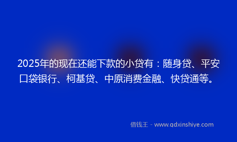 2025年的现在还能下款的小贷有：随身贷、平安口袋银行、柯基贷、中原消费金融、快贷通等。