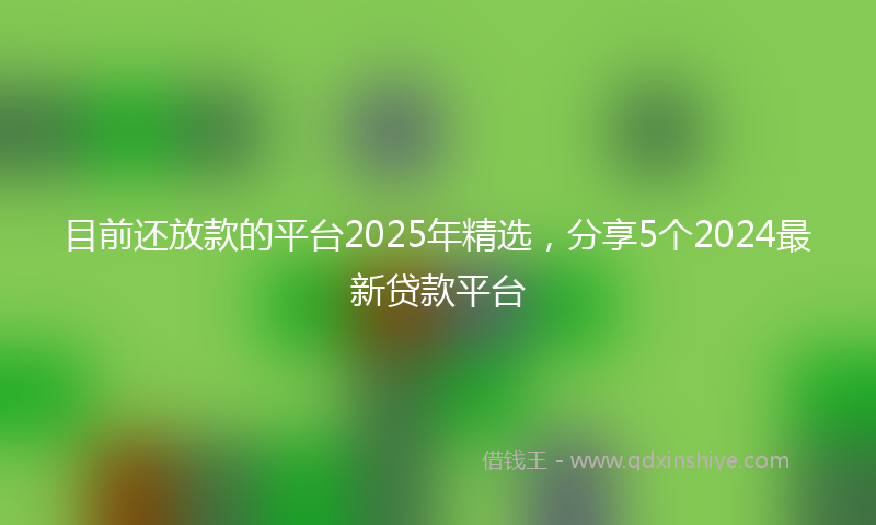 目前还放款的平台2025年精选，分享5个2024最新贷款平台