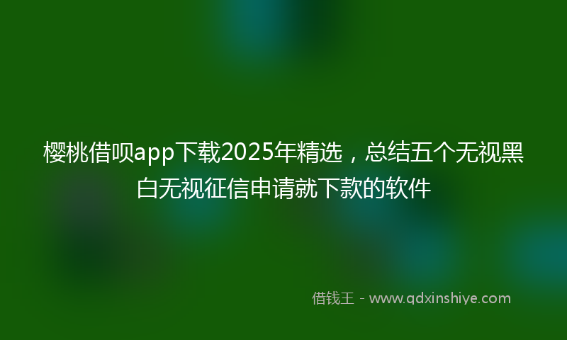 樱桃借呗app下载2025年精选，总结五个无视黑白无视征信申请就下款的软件