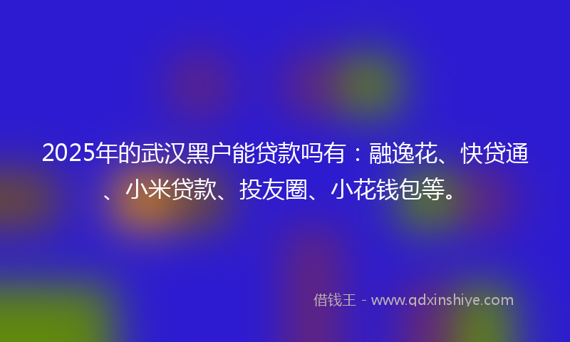 2025年的武汉黑户能贷款吗有：融逸花、快贷通、小米贷款、投友圈、小花钱包等。