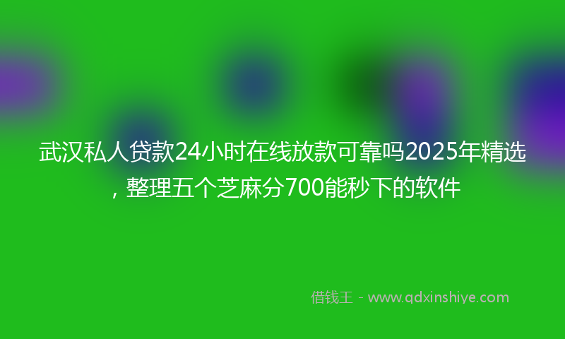 武汉私人贷款24小时在线放款可靠吗2025年精选，整理五个芝麻分700能秒下的软件