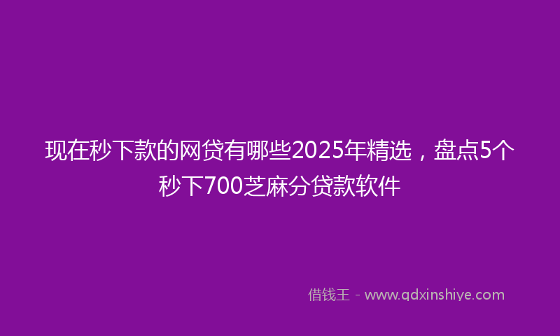 现在秒下款的网贷有哪些2025年精选，盘点5个秒下700芝麻分贷款软件