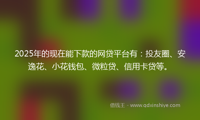 2025年的现在能下款的网贷平台有：投友圈、安逸花、小花钱包、微粒贷、信用卡贷等。