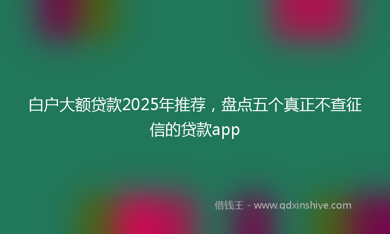 白户大额贷款2025年推荐，盘点五个真正不查征信的贷款app
