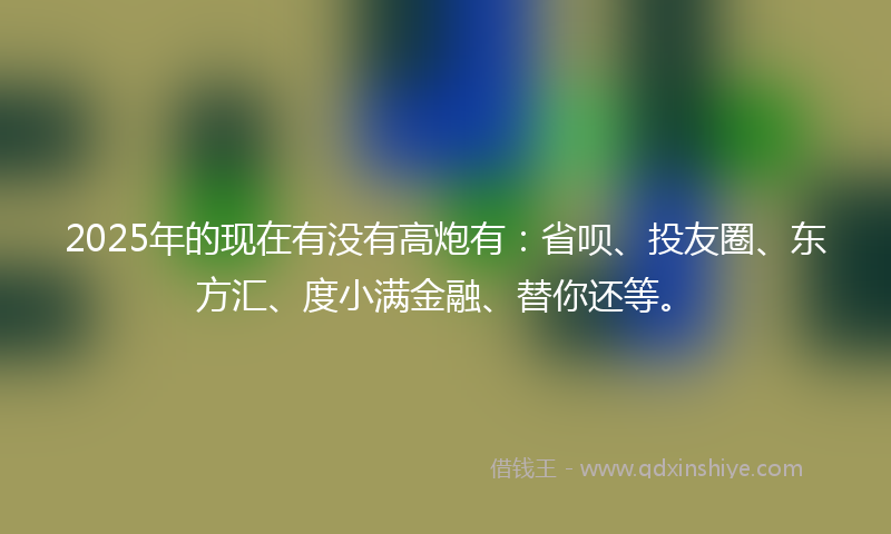 2025年的现在有没有高炮有：省呗、投友圈、东方汇、度小满金融、替你还等。