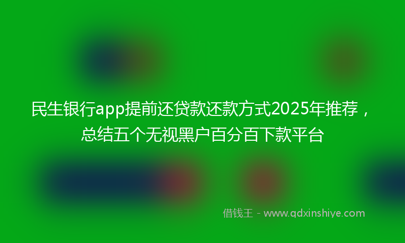 民生银行app提前还贷款还款方式2025年推荐，总结五个无视黑户百分百下款平台