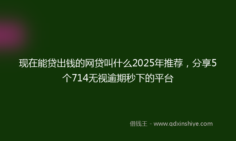 现在能贷出钱的网贷叫什么2025年推荐，分享5个714无视逾期秒下的平台