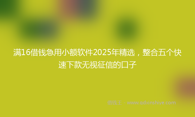 满16借钱急用小额软件2025年精选，整合五个快速下款无视征信的口子