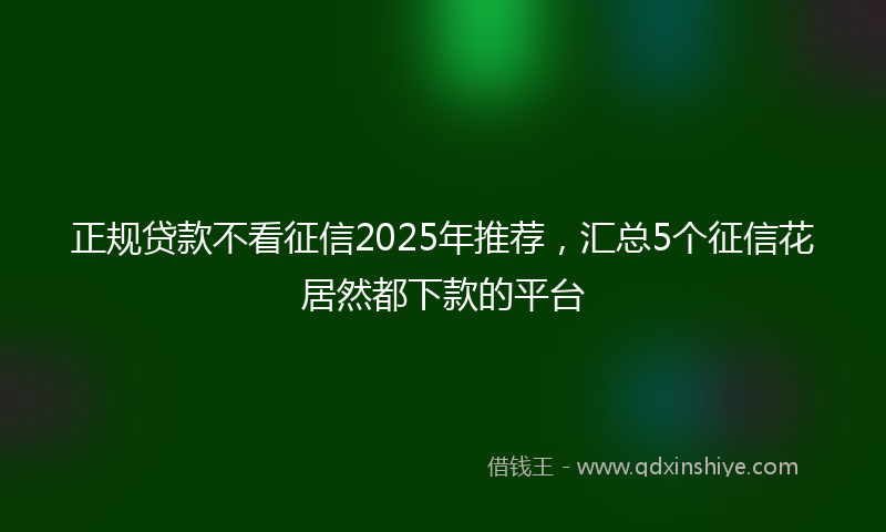 正规贷款不看征信2025年推荐，汇总5个征信花居然都下款的平台