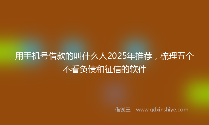 用手机号借款的叫什么人2025年推荐，梳理五个不看负债和征信的软件