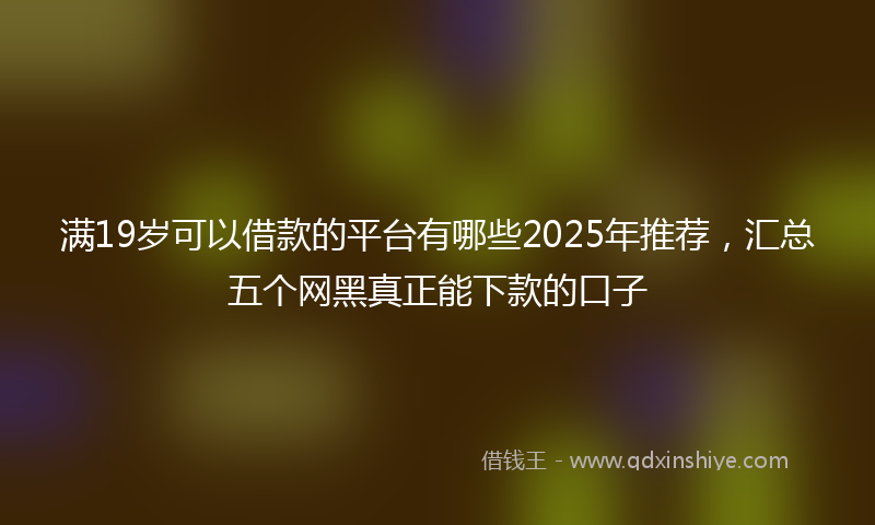 满19岁可以借款的平台有哪些2025年推荐，汇总五个网黑真正能下款的口子