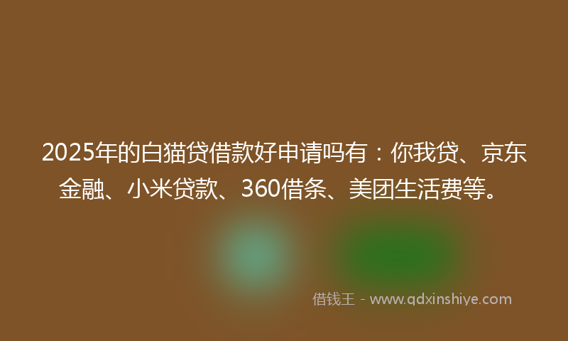2025年的白猫贷借款好申请吗有：你我贷、京东金融、小米贷款、360借条、美团生活费等。