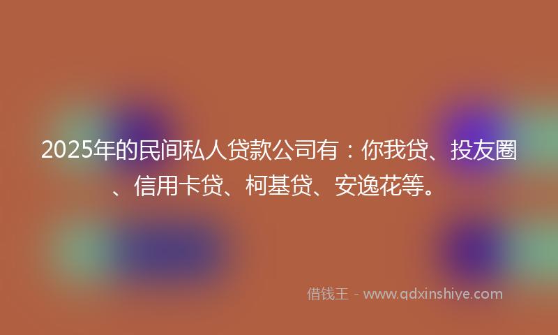 2025年的民间私人贷款公司有：你我贷、投友圈、信用卡贷、柯基贷、安逸花等。