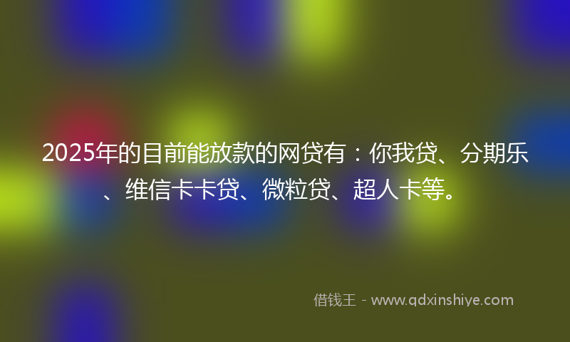 2025年的目前能放款的网贷有：你我贷、分期乐、维信卡卡贷、微粒贷、超人卡等。