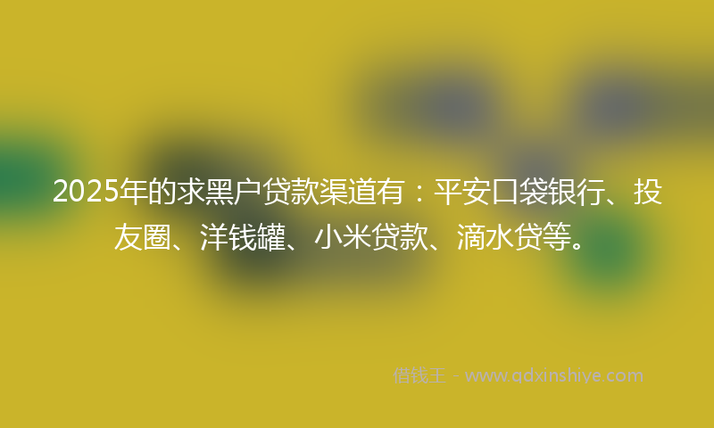 2025年的求黑户贷款渠道有:平安口袋银行、投友圈、洋钱罐、小米贷款、滴水贷等。