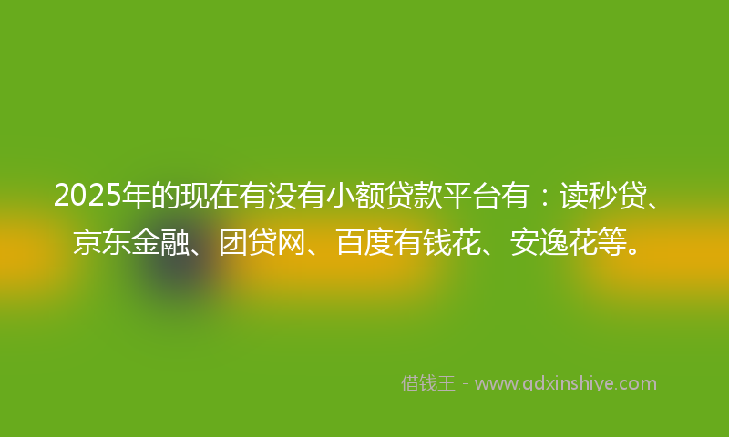 2025年的现在有没有小额贷款平台有:读秒贷、京东金融、团贷网、百度有钱花、安逸花等。