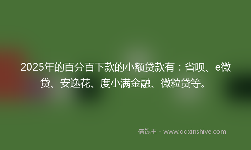 2025年的百分百下款的小额贷款有：省呗、e微贷、安逸花、度小满金融、微粒贷等。