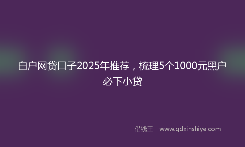 白户网贷口子2025年推荐，梳理5个1000元黑户必下小贷
