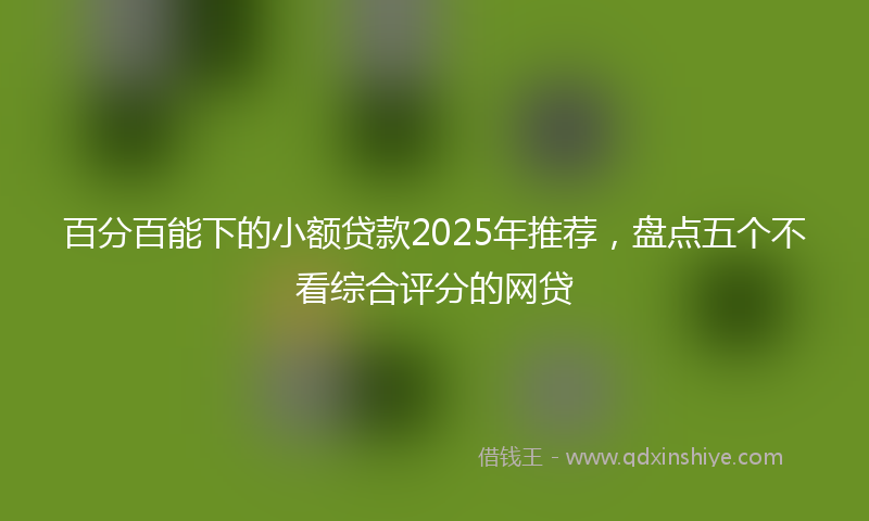 百分百能下的小额贷款2025年推荐，盘点五个不看综合评分的网贷