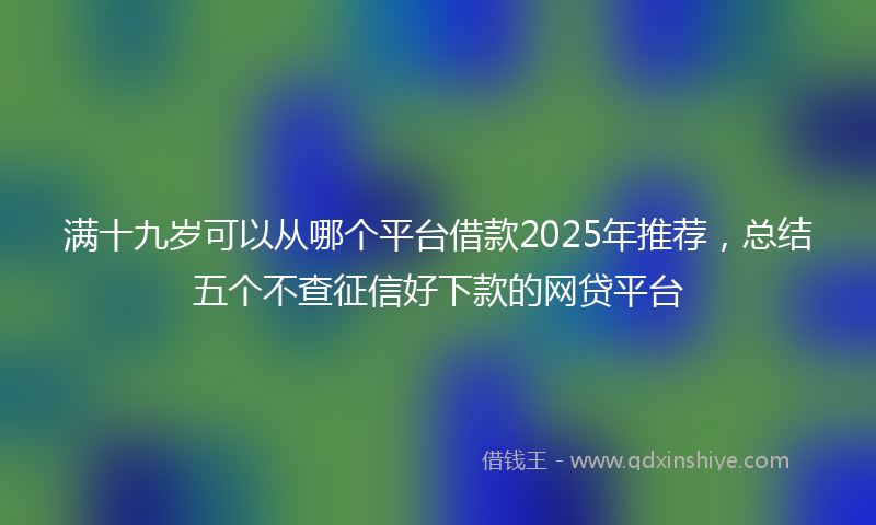 满十九岁可以从哪个平台借款2025年推荐，总结五个不查征信好下款的网贷平台