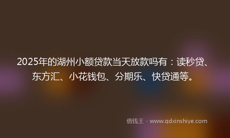 2025年的湖州小额贷款当天放款吗有：读秒贷、东方汇、小花钱包、分期乐、快贷通等。
