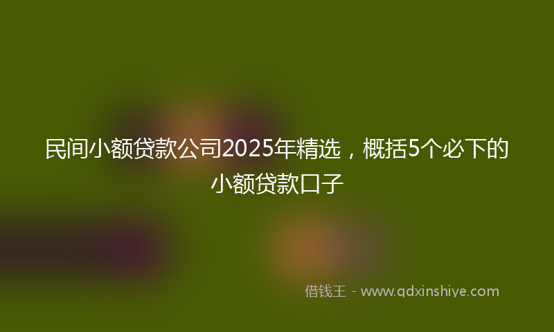 民间小额贷款公司2025年精选，概括5个必下的小额贷款口子