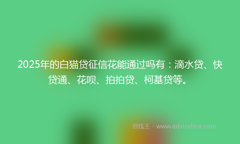 2025年的白猫贷征信花能通过吗有:滴水贷、快贷通、花呗、拍拍贷、柯基贷等。