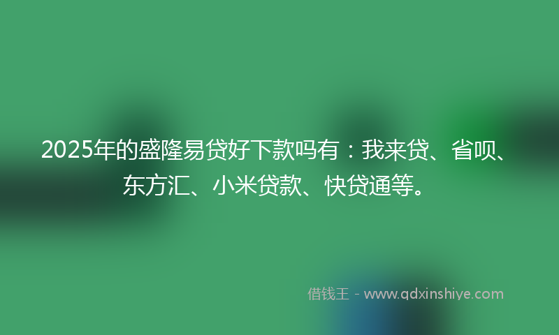 2025年的盛隆易贷好下款吗有：我来贷、省呗、东方汇、小米贷款、快贷通等。