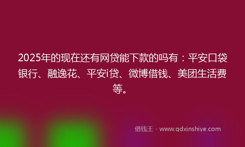 2025年的现在还有网贷能下款的吗有：平安口袋银行、融逸花、平安i贷、微博借钱、美团生活费等。