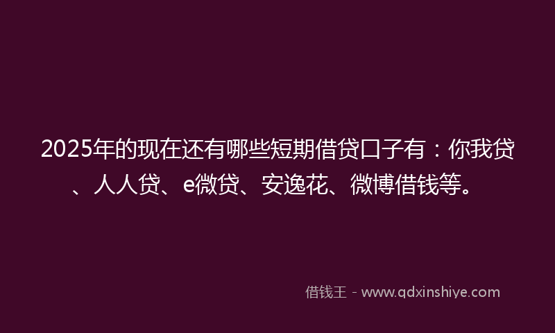 2025年的现在还有哪些短期借贷口子有：你我贷、人人贷、e微贷、安逸花、微博借钱等。
